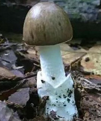 һ�����ŵ�ȫ��6���ˣ�����δ����