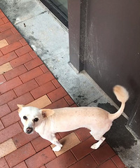 ���������һ������Ӧ������������