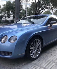 ��ɫ����