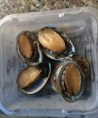 ���ʻⷹ ���ֲе����Ǹ��׿�