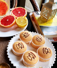 ������Ľ��������Ͷ̥�����