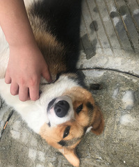记录十八的暑期陪护生活