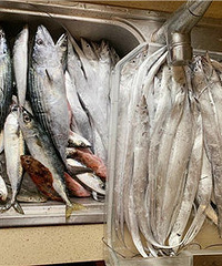 ����Ѫ����ȫ�������С����