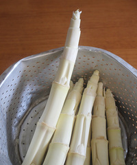 ����������ͷ������ذ������ȫ����ͷ