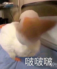 ��Ϊ�����ˣ����ڿ���̸̸��ôѡ�׶�԰��