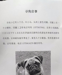 Ѱ���Ҽҵ�С�͸�