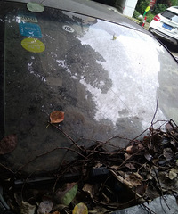 城管惩治僵尸车,更应重点打击小区内的僵尸车