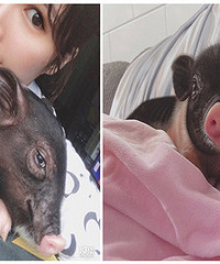 �ҵ����������ˣ����ż�