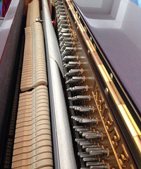 15800Ԫ���¹��ƺ�С����KRIEBEI