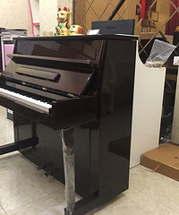 5800Ԫ���ձ���������С����PWELC