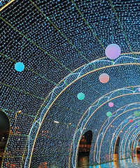 �����ƹ���ͦ�޵�