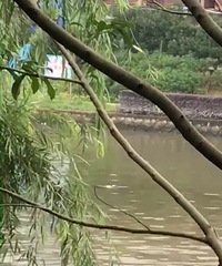 ����Ƕ��ӵ���ո�����һ��Ůʬ