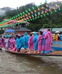 �½�wanghong�򿨵�