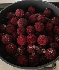 ��ס����������ζ��