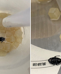 �������̲���ȵ�������