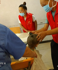 �����Ⱥ��.�ر�Ĺذ���Ϊ�������Ҳм����˰������