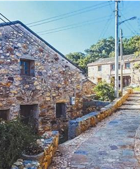 ���ģ�ȥ���Ѱ�ҡ�������䡱��̨�ݴ�ͳ�Ŵ���