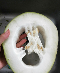 �����Ķ��ϣ���ڼ������ļ���ʳ���Ϻô���Ŷ