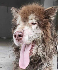 Ѱ�ҹ��������ˣ���������