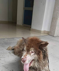 Ѱ�ҹ��������ˣ���������