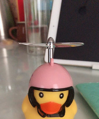 �������ֲݡ�С��Ѽ�ڼ���������Ѽ�������ֿɰ�