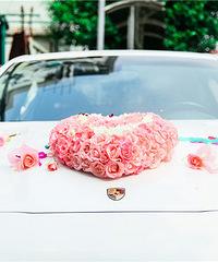 ��������æ���鳵Ҫ�����ٺ����