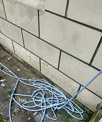 �������ֲݡ�ϴ���������ȷ�����ʵ�ã������Խ�ʡϴ������