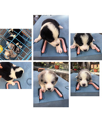 ��֪������