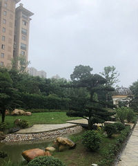 �ò����״�������80ƽ�ķ��ӣ����Ů���ӷ���С��������