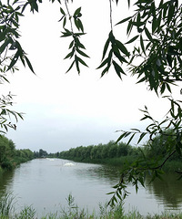 【旅游日记No.35】库存的湿地公园:漩门湾