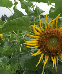 �����������ʪ�ع�԰���㽭ʡ����ȫ����������ʪ�ع�԰