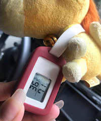 �������ֲݡ��¶�ʪ�ȼǣ�С�ɷ��㣬ֵ������