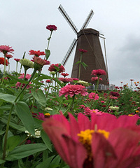 ����Ļ�����Ư��