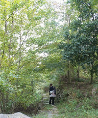 一起徒步黄仙古驿道,感悟遗存的岁月记忆
