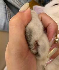 һ�Һ��ĳ���� ���������