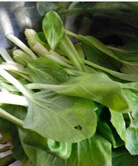 ���۸��᡿�����죬��������˵��˶��ж����ܳ��ˣ���������