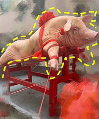 ������ϰ�ס�����Ǯ�����ݣ�һ���ǲ���һ�����·�Ǯ