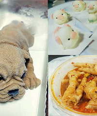 ��������Ʒ��������������