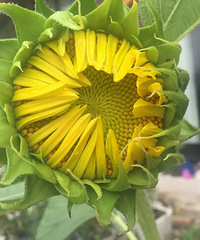 ���۸��᡿�������������û���ˣ���ô����