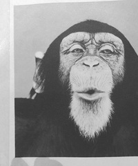 ��ʻ֤�����ˣ�·�Ż�֤Ҫ��ʲô��