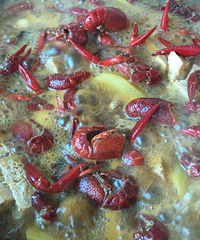 ��Ϻ��һ������һ��˾͹���