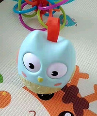 èͷӥ������