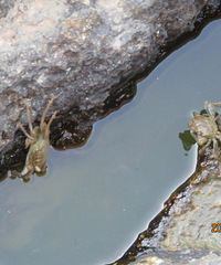 �������ң�û�����ճ���������Сз������Ҳ�Ǳ���һ����Ȥ