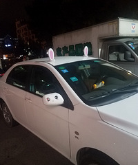 ����װ�İ�ɫbyd����֪����������ʿ����Ůʿ��