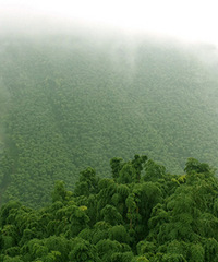 �й����� �Ի�����ȡ����