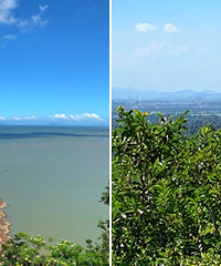 ����Զ����µ�����ʢ���ģ������ɼ�