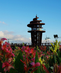 ̨����ʪ�ع�԰�����������������衱תһȦ