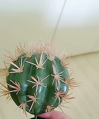 ��������װ����������ĸ����һ��