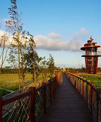 ����������������۾�̨��תһȦ