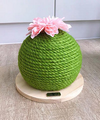 �Ź���è���ܣ��Ա��ؼ�119�Խ��68������30